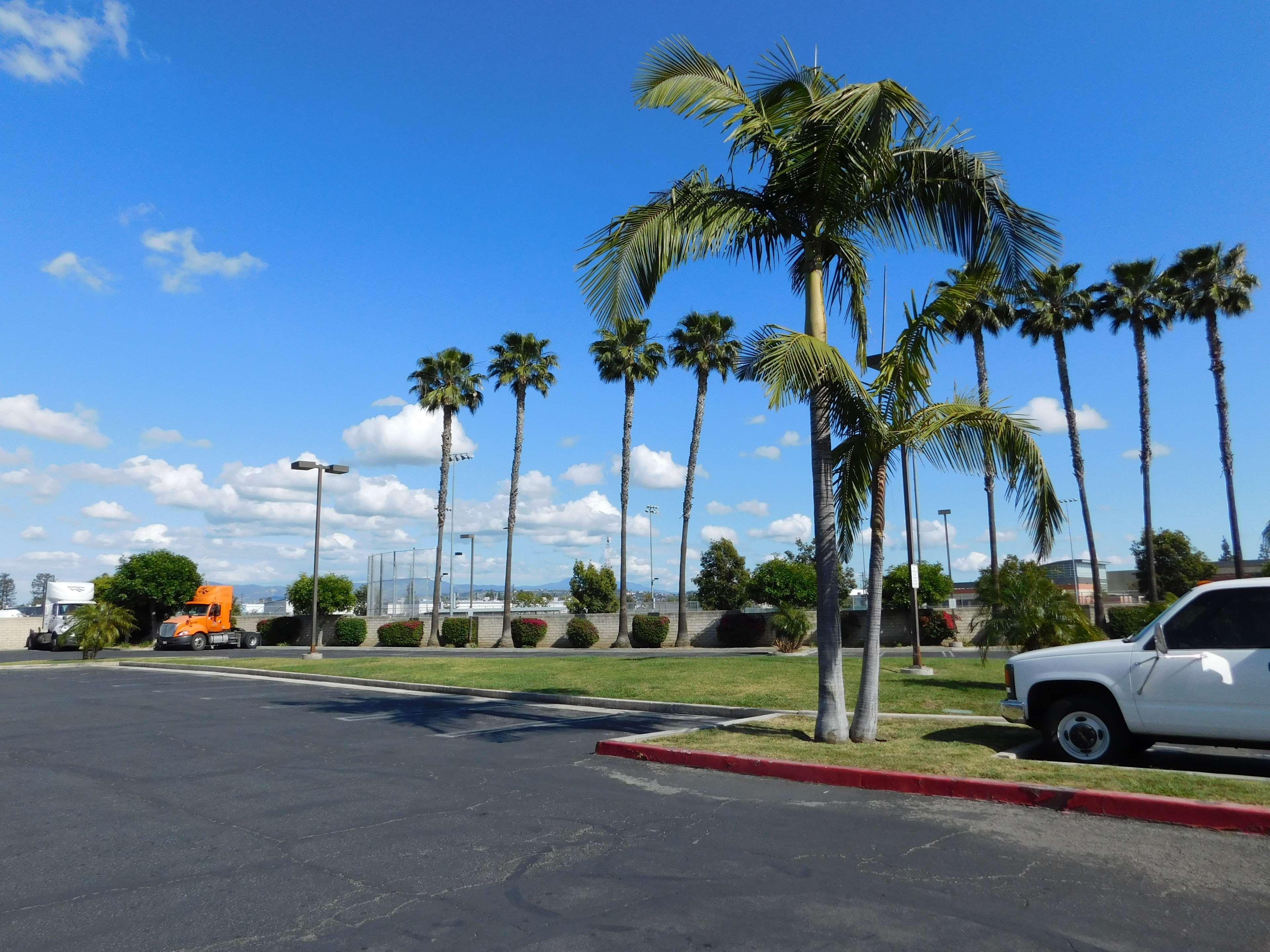 Best Western Plus - Anaheim Orange County Hotel Плесенша Екстер'єр фото