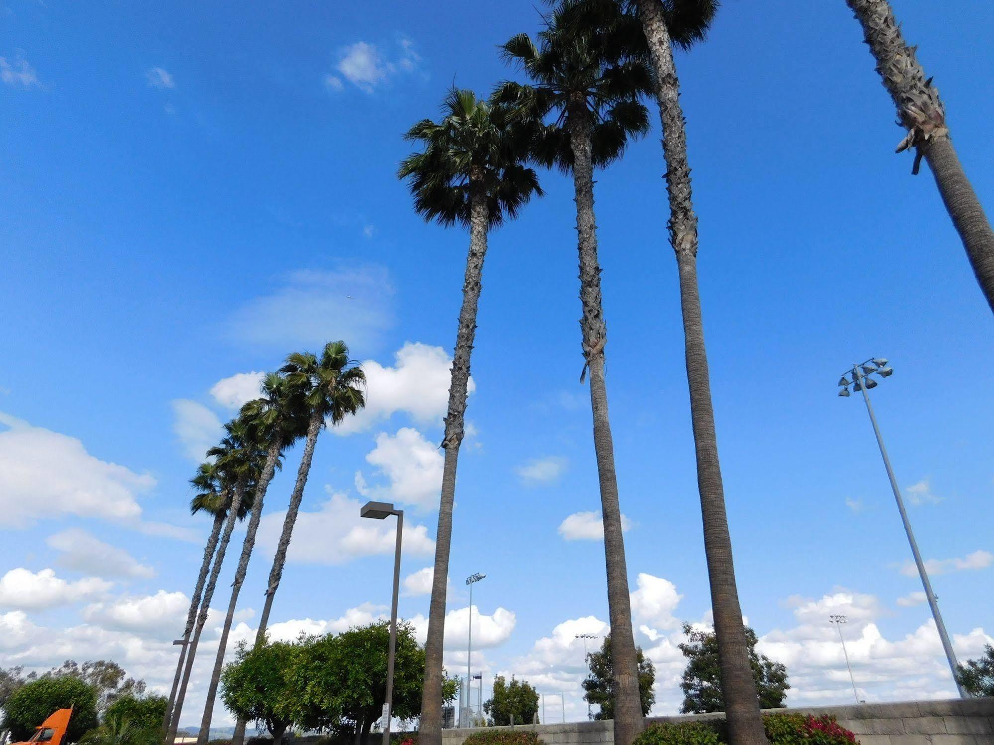 Best Western Plus - Anaheim Orange County Hotel Плесенша Екстер'єр фото